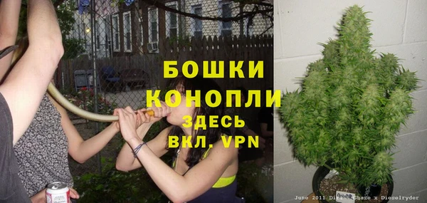 spice Дубовка